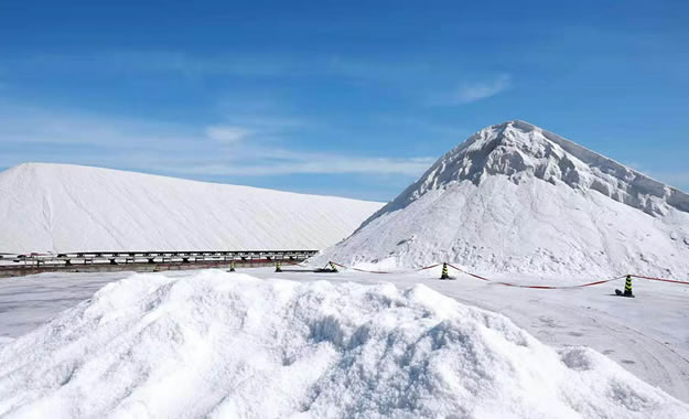 ����L(zh��ng)�J�h���}��(ch��ng)����؟(z��)�ι�˾